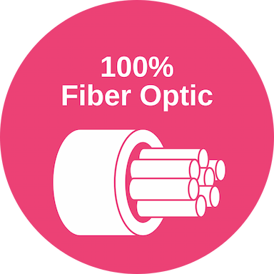 100% Fiber Optic